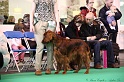 Crufts2011 217